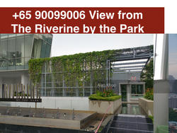 The Riverine By The Park (D12), Apartment #156975912